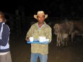 Tirar Leite do vacas da fazenda pantanal