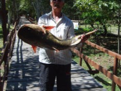 pacotes de pescaria no pantanal melhor lugar bote boteiro e muito mais